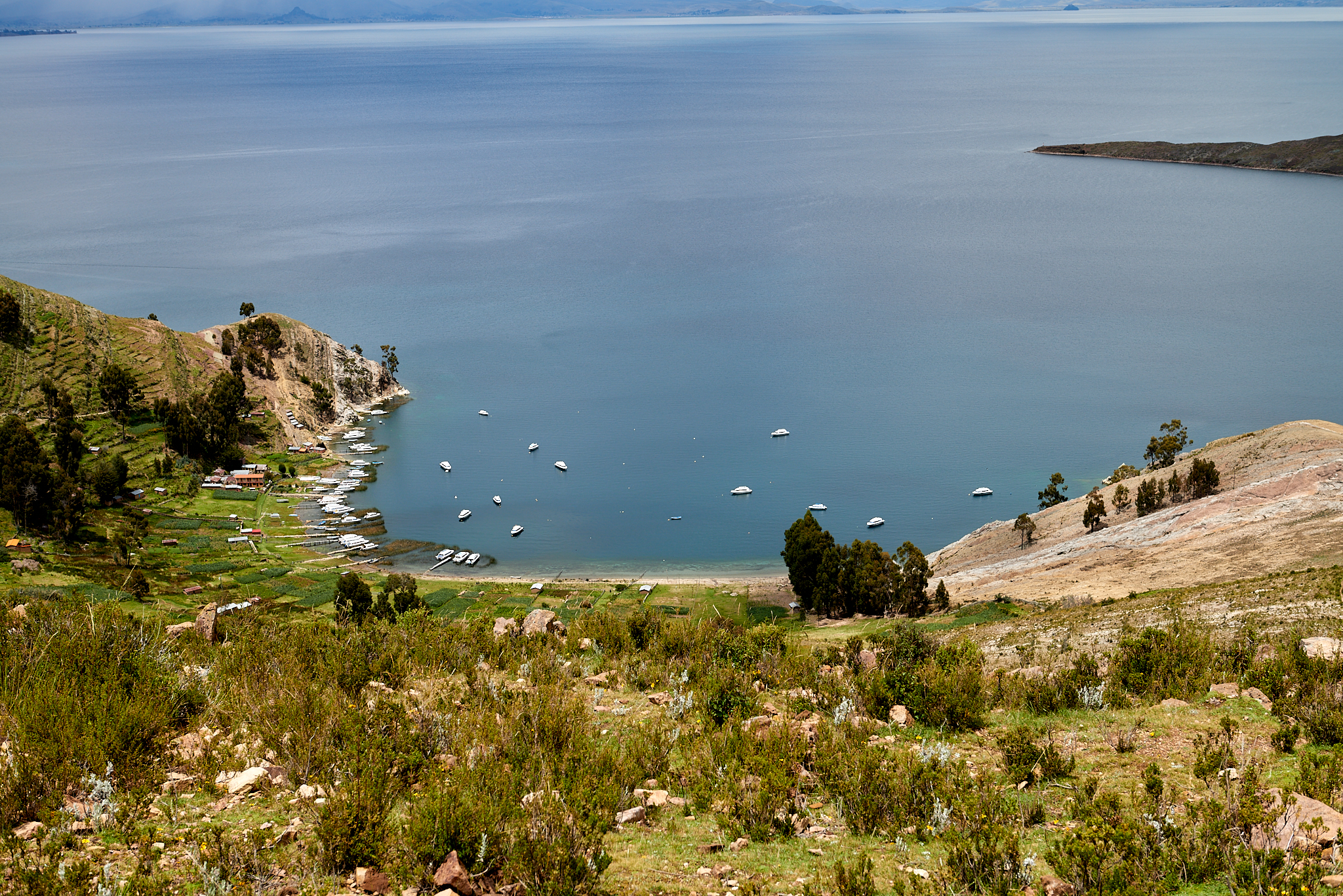 20200310 035 [볼리비아] 티티카카호수